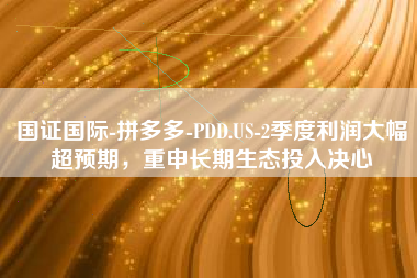 国证国际-拼多多-PDD.US-2季度利润大幅超预期，重申长期生态投入决心