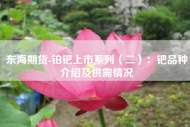 东海期货-铂钯上市系列（二）：钯品种介绍及供需情况