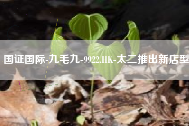 国证国际-九毛九-9922.HK-太二推出新店型
