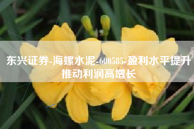东兴证券-海螺水泥-600585-盈利水平提升推动利润高增长