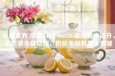 长城证券-中坚科技-002779-业绩稳步提升，主页基本盘稳固，积极布局机器人领域