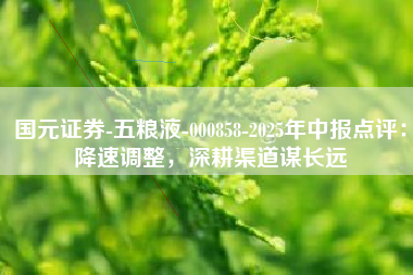 国元证券-五粮液-000858-2025年中报点评：降速调整，深耕渠道谋长远