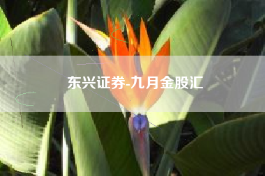 东兴证券-九月金股汇