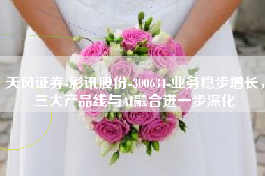 天风证券-彩讯股份-300634-业务稳步增长，三大产品线与AI融合进一步深化
