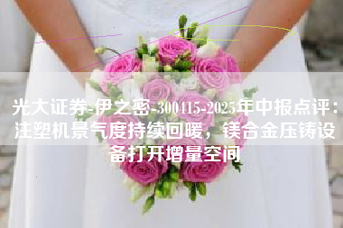 光大证券-伊之密-300415-2025年中报点评：注塑机景气度持续回暖，镁合金压铸设备打开增量空间