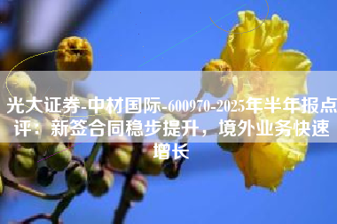 光大证券-中材国际-600970-2025年半年报点评：新签合同稳步提升，境外业务快速增长