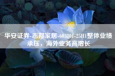 华安证券-志邦家居-603801-25H1整体业绩承压，海外业务高增长