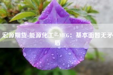 宏源期货-能源化工~MEG：基本面暂无矛盾