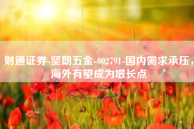 财通证券-坚朗五金-002791-国内需求承压，海外有望成为增长点