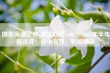 国泰海通证券-重庆百货-600729-2025年半年报点评：稳中有升，积极调改