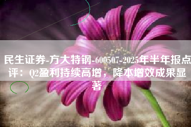 民生证券-方大特钢-600507-2025年半年报点评：Q2盈利持续高增，降本增效成果显著