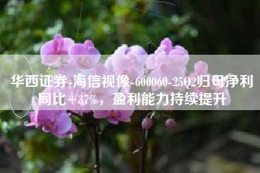 华西证券-海信视像-600060-25Q2归母净利同比+37%，盈利能力持续提升