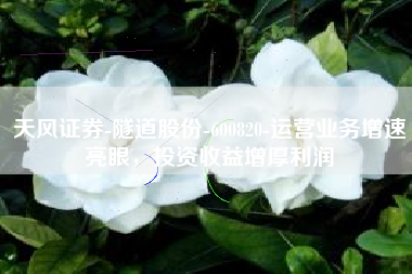 天风证券-隧道股份-600820-运营业务增速亮眼，投资收益增厚利润