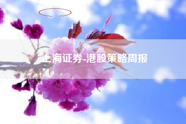 上海证券-港股策略周报