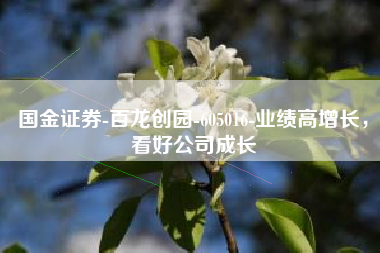 国金证券-百龙创园-605016-业绩高增长，看好公司成长