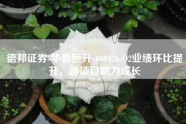 德邦证券-华鲁恒升-600426-Q2业绩环比提升，新项目助力成长