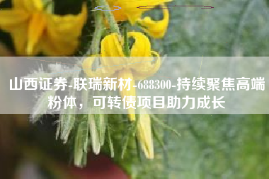 山西证券-联瑞新材-688300-持续聚焦高端粉体，可转债项目助力成长