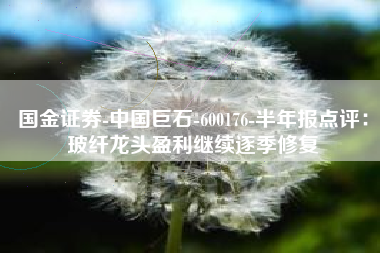 国金证券-中国巨石-600176-半年报点评：玻纤龙头盈利继续逐季修复