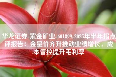 华龙证券-紫金矿业-601899-2025年半年报点评报告：金量价齐升推动业绩增长，成本管控提升毛利率
