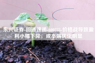 东兴证券-圆通速递-600233-价格战导致盈利小幅下降，成本端优化明显
