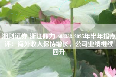 湘财证券-浙江鼎力-603338-2025年半年报点评：海外收入保持增长，公司业绩继续回升