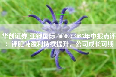 华创证券-亚钾国际-000893-2025年中报点评：钾肥吨盈利持续提升，公司成长可期