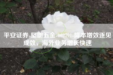 平安证券-坚朗五金-002791-降本增效逐见成效，海外业务增长快速