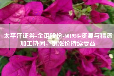 太平洋证券-金钼股份-601958-资源与精深加工协同，钼涨价持续受益