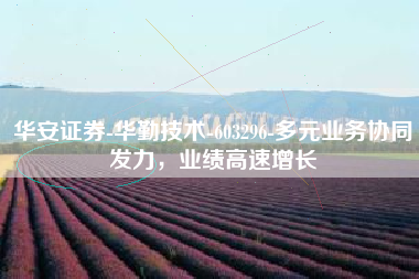 华安证券-华勤技术-603296-多元业务协同发力，业绩高速增长