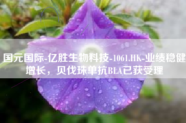 国元国际-亿胜生物科技-1061.HK-业绩稳健增长，贝伐珠单抗BLA已获受理