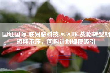 国证国际-联易融科技-9959.HK-战略转型期短期承压，回购计划规模吸引