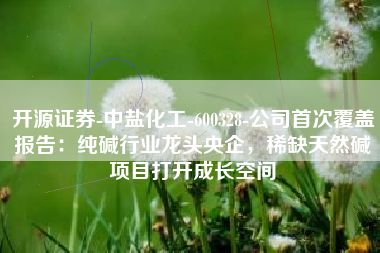 开源证券-中盐化工-600328-公司首次覆盖报告：纯碱行业龙头央企，稀缺天然碱项目打开成长空间