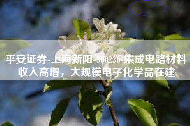 平安证券-上海新阳-300236-集成电路材料收入高增，大规模电子化学品在建