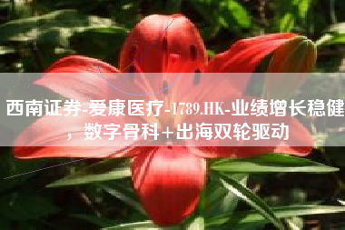 西南证券-爱康医疗-1789.HK-业绩增长稳健，数字骨科+出海双轮驱动