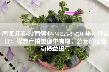 国海证券-陕西煤业-601225-2025年半年报点评：煤炭产销量稳中有增，公允价值变动损益扭亏