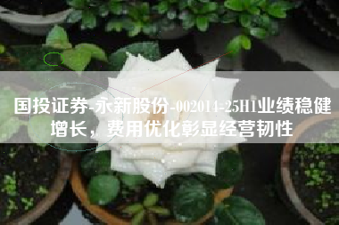国投证券-永新股份-002014-25H1业绩稳健增长，费用优化彰显经营韧性