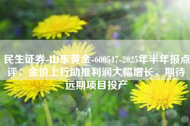 民生证券-山东黄金-600547-2025年半年报点评：金价上行助推利润大幅增长，期待远期项目投产