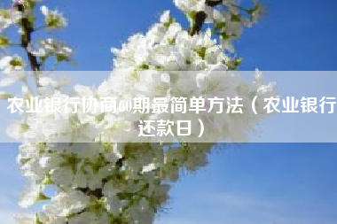 农业银行协商60期最简单方法（农业银行还款日）