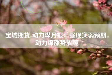 宝城期货-动力煤月报：强现实弱预期，动力煤涨势放缓
