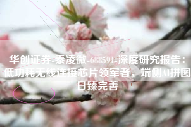 华创证券-泰凌微-688591-深度研究报告：低功耗无线连接芯片领军者，端侧AI拼图日臻完善