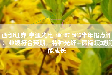 西部证券-亨通光电-600487-2025半年报点评：业绩符合预期，特种光纤+深海领域赋能成长