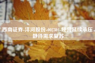 西南证券-洋河股份-002304-经营延续承压，静待需求复苏