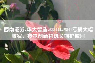 西南证券-华大智造-688114-25H1亏损大幅收窄，技术创新构筑长期护城河