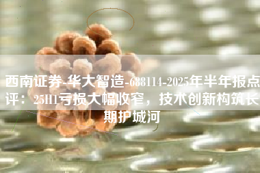 西南证券-华大智造-688114-2025年半年报点评：25H1亏损大幅收窄，技术创新构筑长期护城河
