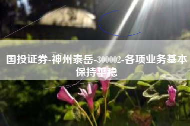 国投证券-神州泰岳-300002-各项业务基本保持平稳