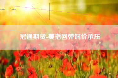 冠通期货-美指回弹铜价承压