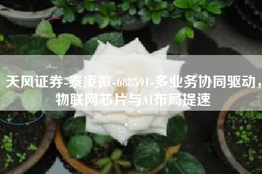 天风证券-泰凌微-688591-多业务协同驱动，物联网芯片与AI布局提速