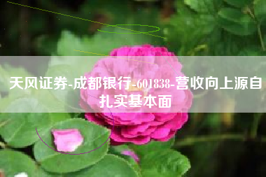 天风证券-成都银行-601838-营收向上源自扎实基本面