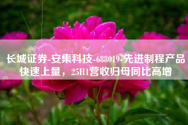 长城证券-安集科技-688019-先进制程产品快速上量，25H1营收归母同比高增