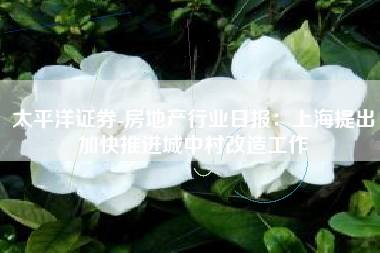 太平洋证券-房地产行业日报：上海提出加快推进城中村改造工作